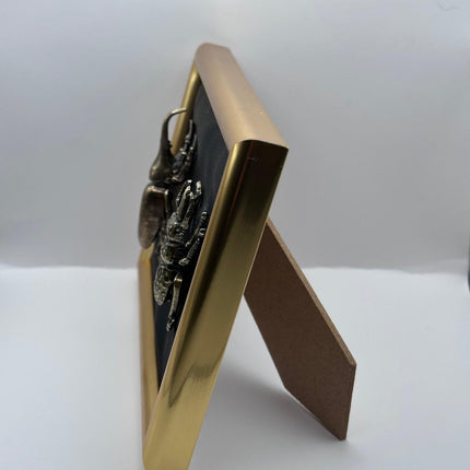 Quadro 3D Insetti Museali in Cornice Barocca Oro e Nero – Fatto a Mano, Decorazione Appesa/Mensola