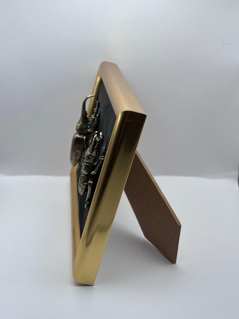 Quadro 3D Insetti Museali in Cornice Barocca Oro e Nero – Fatto a Mano, Decorazione Appesa/Mensola