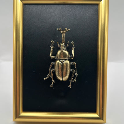 Quadro 3D Scarabeo Ercole in Cornice Verticale Oro – Fatto a Mano, Decorazione Appesa/Mensola