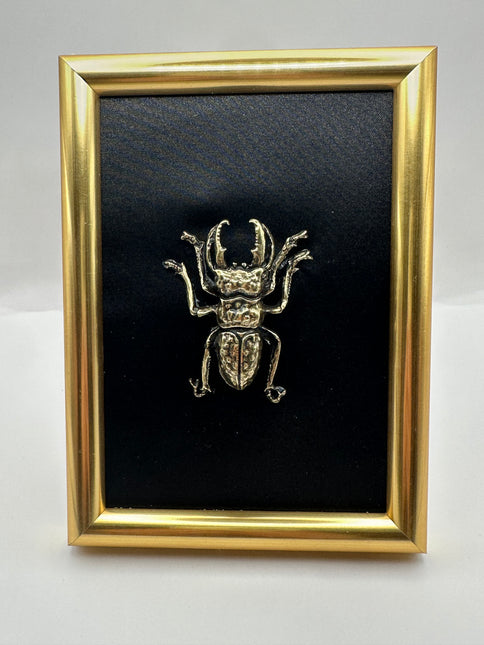 Quadro 3D Scarabeo Cervo (Lucanus) in Cornice Verticale Oro – Fatto a Mano, Decorazione Appesa/Mensola