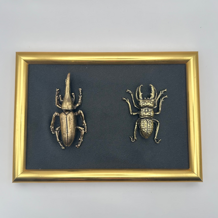 Quadro 3D Insetti Museali in Cornice Barocca Oro e Nero – Fatto a Mano, Decorazione Appesa/Mensola