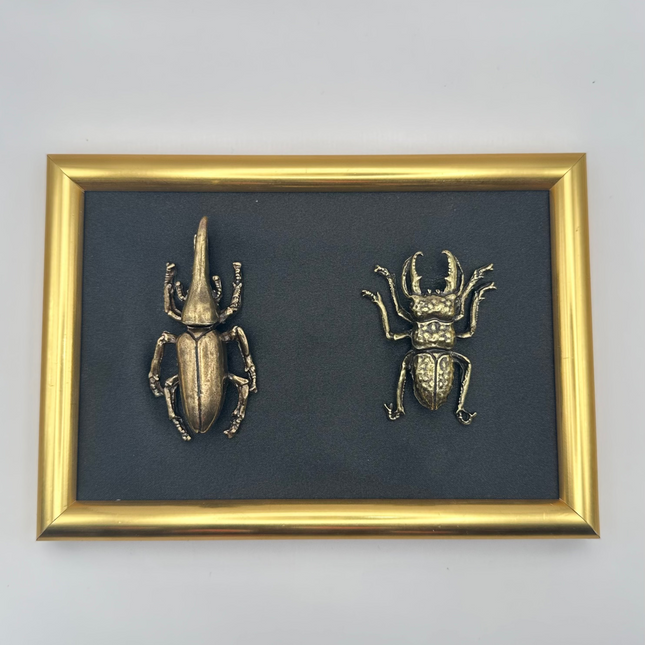 Quadro 3D Insetti Museali in Cornice Barocca Oro e Nero – Fatto a Mano, Decorazione Appesa/Mensola