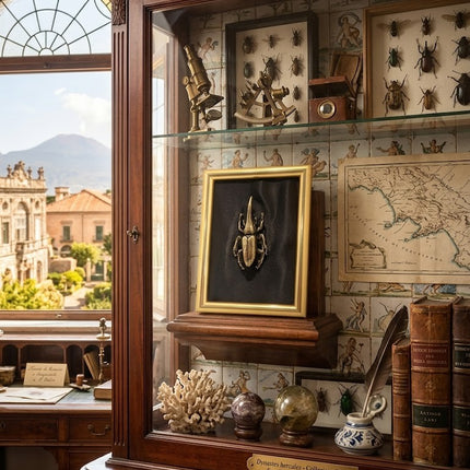 Quadro 3D Maggiolino Rinoceronte in Cornice Verticale Oro – Fatto a Mano, Decorazione Appesa/Mensola